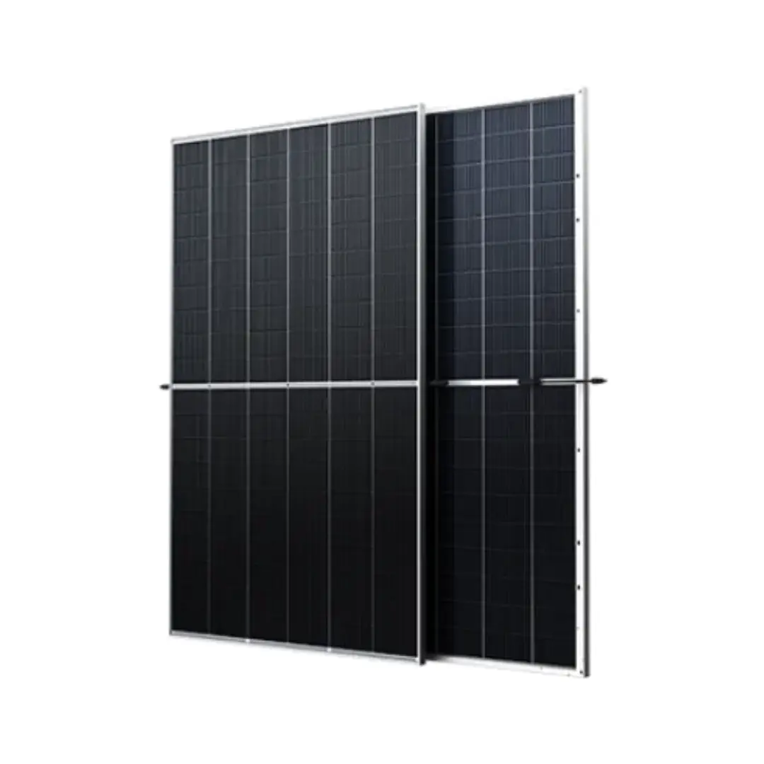 Trina 620W N-Type Bifacial Solar Panel